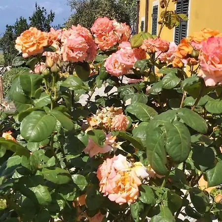 Codemin Casa Vista Mare Cinque Terre Con Giardino Апартаменты *
